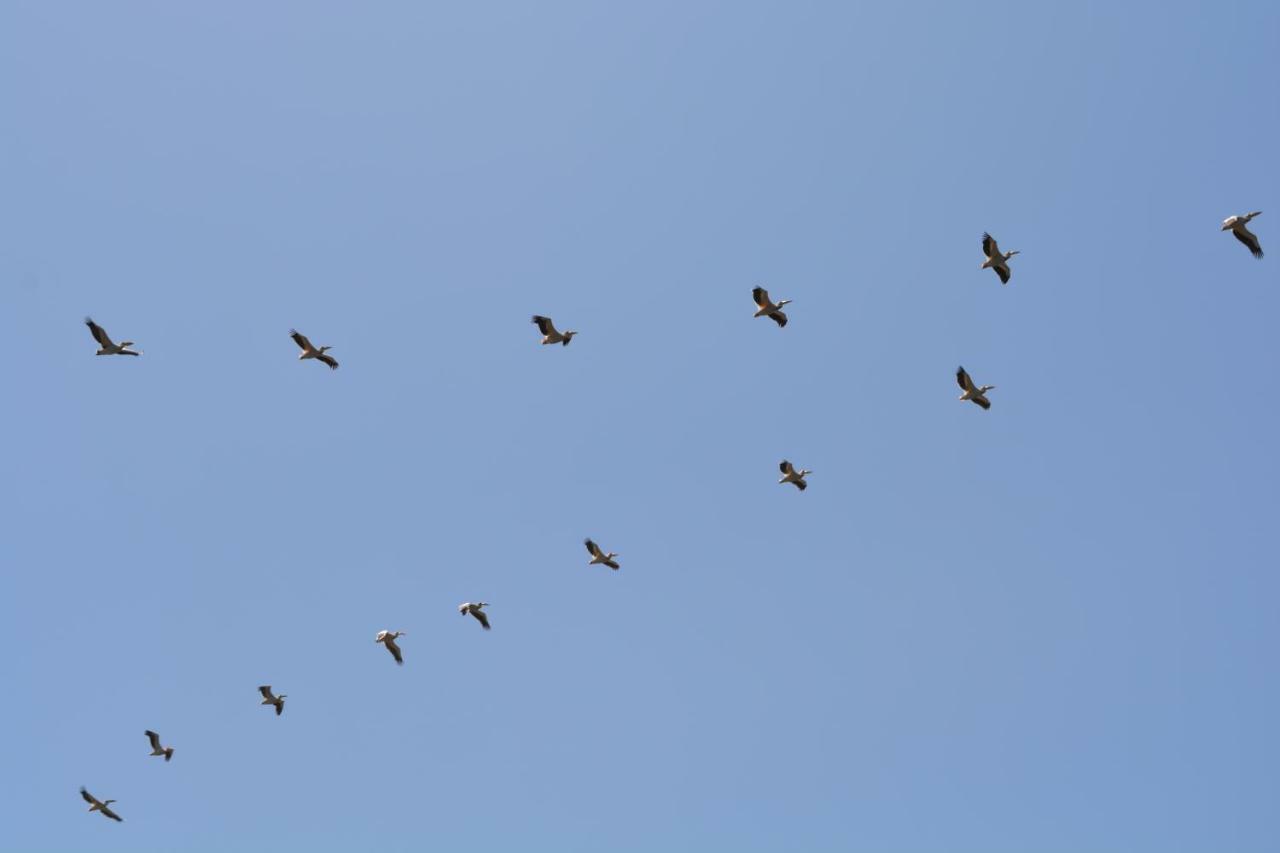 Lake Naivasha Crescent Camp מראה חיצוני תמונה